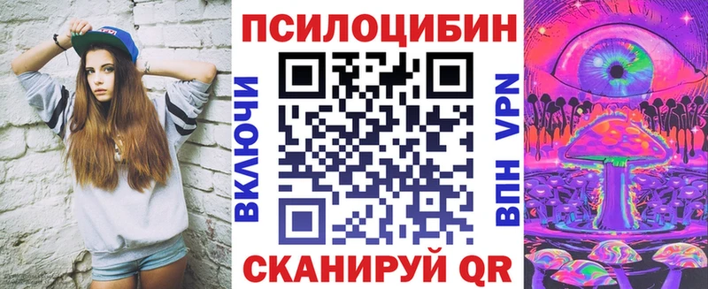 купить наркотик  Дрезна  Галлюциногенные грибы Cubensis 